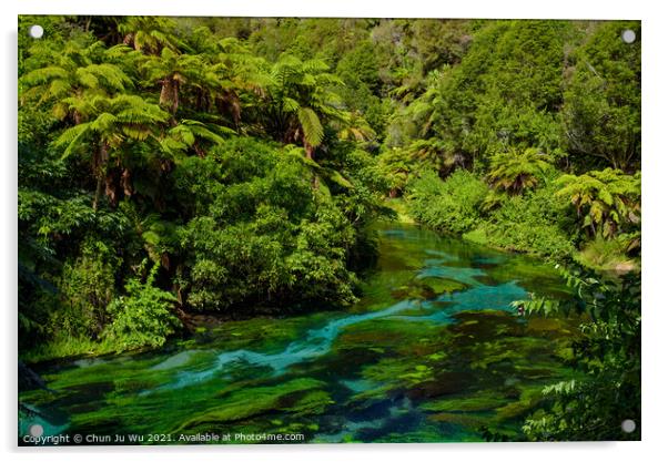 Blue Spring along Te Waihou Walkway in Hamilton, Waikato, New Zealand Acrylic by Chun Ju Wu