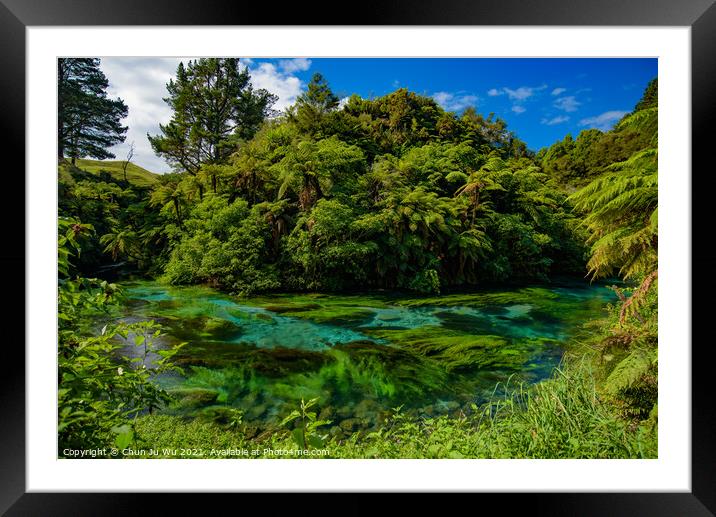 Blue Spring along Te Waihou Walkway in Hamilton, Waikato, New Zealand Framed Mounted Print by Chun Ju Wu