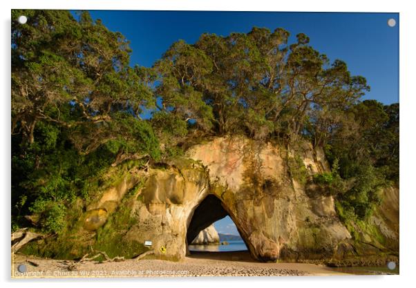 Cathedral Cove in Coromandel, New Zealand Acrylic by Chun Ju Wu