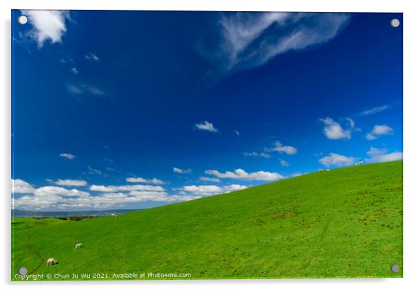 Green hills with sheep and blue sky in New Zealand Acrylic by Chun Ju Wu