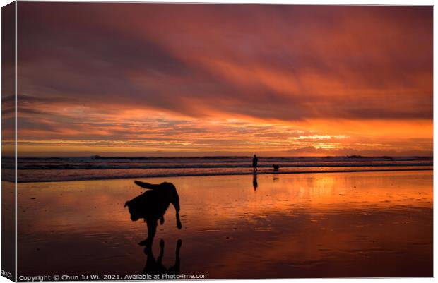 Muriwai Beach at sunset time with a dog and colorful clouds, New Zealand Canvas Print by Chun Ju Wu