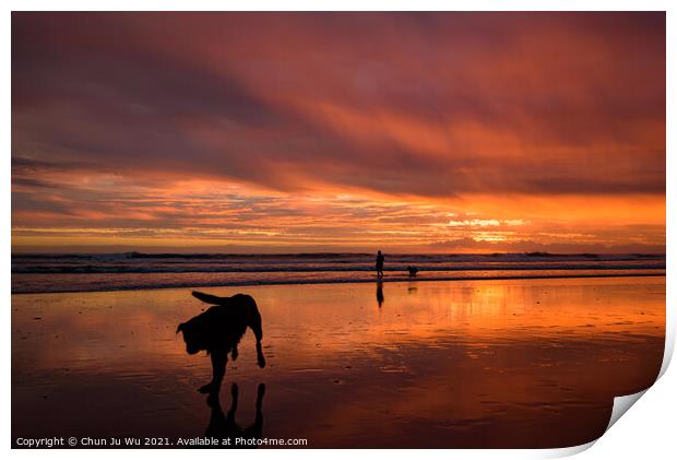 Muriwai Beach at sunset time with a dog and colorful clouds, New Zealand Print by Chun Ju Wu