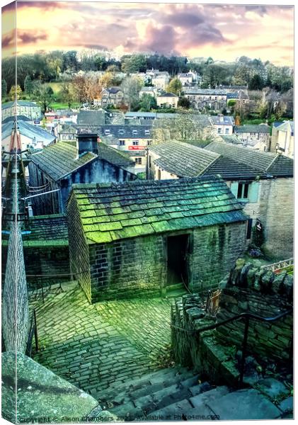 Daisy Lane Holmfirth Canvas Print by Alison Chambers