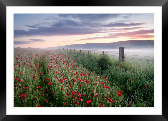Path through the Poppies Framed Mounted Print by David Semmens