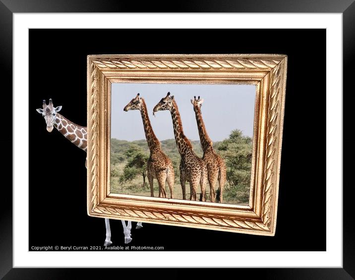 Hello Is It Me Your Looking For? Framed Mounted Print by Beryl Curran