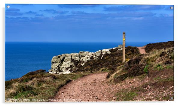 St Agnes Head, Cornwall Acrylic by Brian Pierce