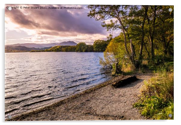 Ben Venue from Loch Venacher in the Trossachs Acrylic by Peter Stuart