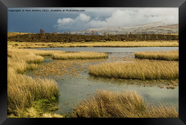 Mynydd Illtyd Common Brecon Beacons in March Framed Print by Nick Jenkins
