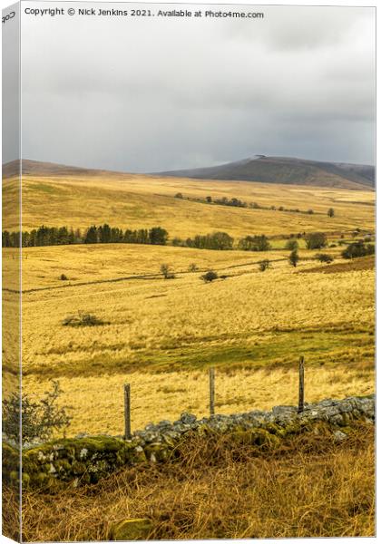 Brecon Beacons view off the A4059 road  Canvas Print by Nick Jenkins