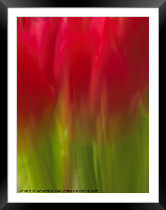 Abstract Tulips Framed Mounted Print by Alan Simpson