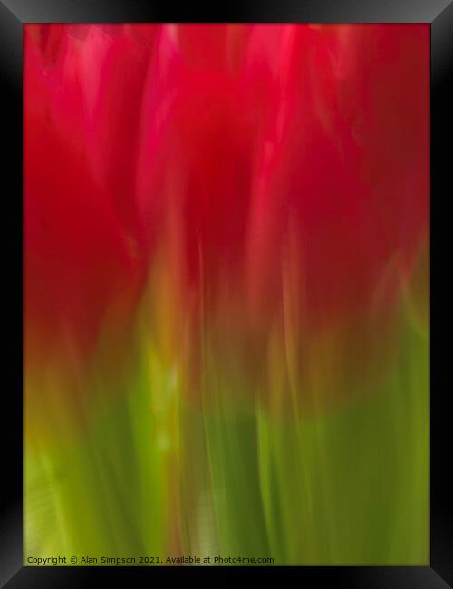Abstract Tulips Framed Print by Alan Simpson