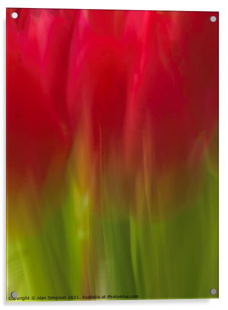 Abstract Tulips Acrylic by Alan Simpson