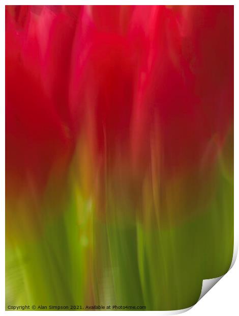 Abstract Tulips Print by Alan Simpson
