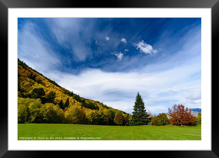 Forest with autumn leaves in Arrowtown, New Zealand Framed Mounted Print by Chun Ju Wu