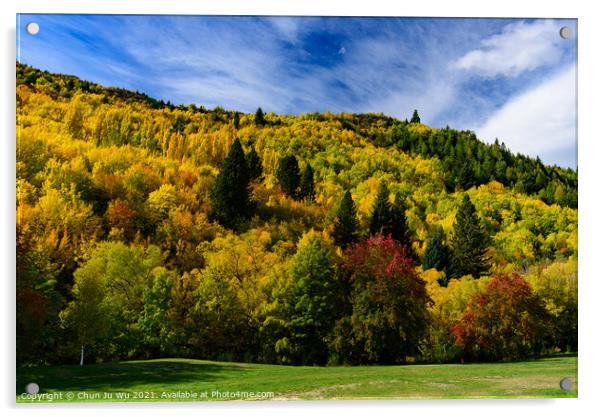 Forest with autumn leaves in Arrowtown, New Zealand Acrylic by Chun Ju Wu