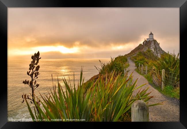 Nugget Point and lighthouse with sunrise at South Island, New Zealand Framed Print by Chun Ju Wu