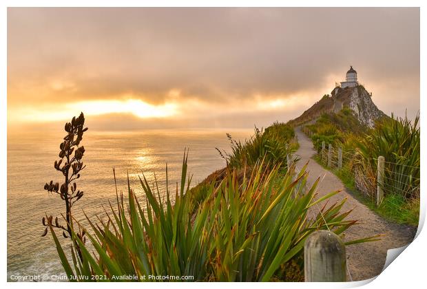 Nugget Point and lighthouse with sunrise at South Island, New Zealand Print by Chun Ju Wu