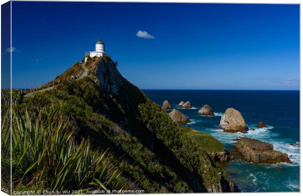 Nugget Point and lighthouse at South Island, New Zealand Canvas Print by Chun Ju Wu