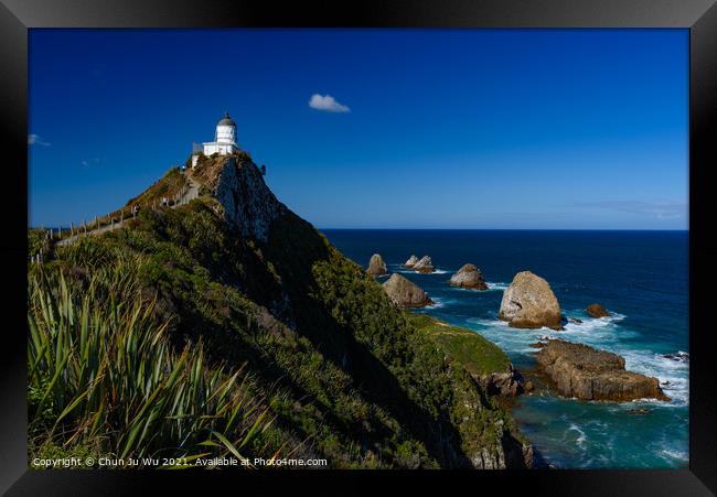 Nugget Point and lighthouse at South Island, New Zealand Framed Print by Chun Ju Wu