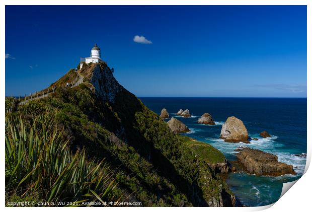 Nugget Point and lighthouse at South Island, New Zealand Print by Chun Ju Wu