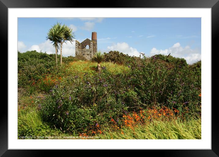 Tin Mine and Palm Trees Framed Mounted Print by Brian Pierce