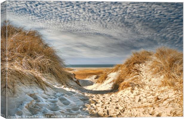 Dunes at the North Sea coast in Rindby at Fanoe, Denmark Canvas Print by Frank Bach