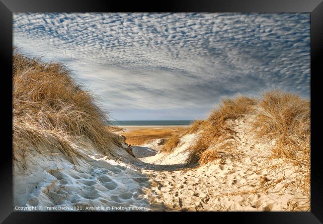 Dunes at the North Sea coast in Rindby at Fanoe, Denmark Framed Print by Frank Bach