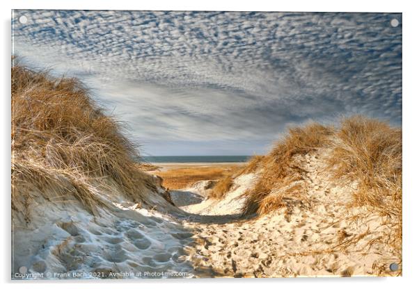 Dunes at the North Sea coast in Rindby at Fanoe, Denmark Acrylic by Frank Bach