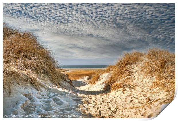 Dunes at the North Sea coast in Rindby at Fanoe, Denmark Print by Frank Bach