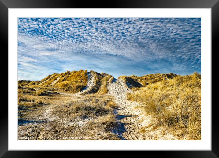 Dunes at the North Sea coast in Rindby at Fanoe, Denmark Framed Mounted Print by Frank Bach