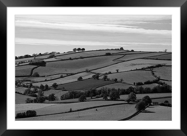 Devon Field pattern Framed Mounted Print by Pete Hemington