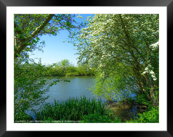 River Beyond the Trees Framed Mounted Print by Jane Metters