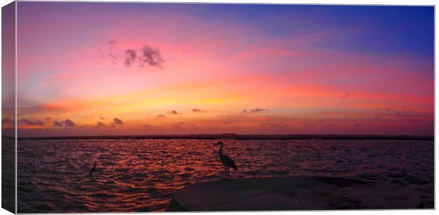 Red sky sunset sea view over water with heron Canvas Print by mark humpage