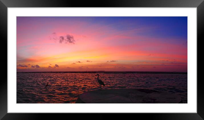 Red sky sunset sea view over water with heron Framed Mounted Print by mark humpage