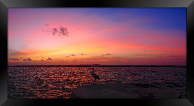 Red sky sunset sea view over water with heron Framed Print by mark humpage