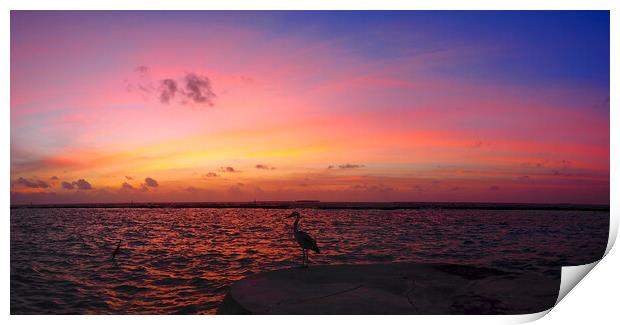 Red sky sunset sea view over water with heron Print by mark humpage