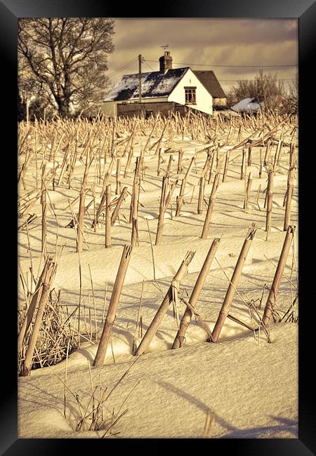 Winter scene Framed Print by S Fierros