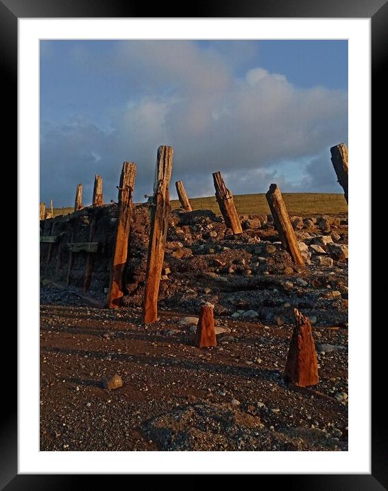 The Old Groyne . Framed Mounted Print by Mark Ritson