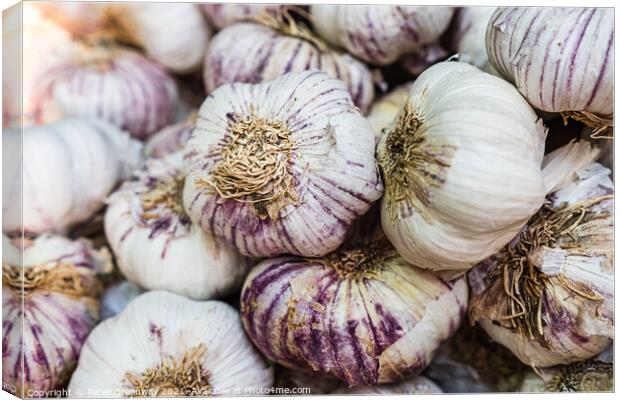 Boxes Of Fresh Garlic On Sale At Borough Market, London Canvas Print by Peter Greenway