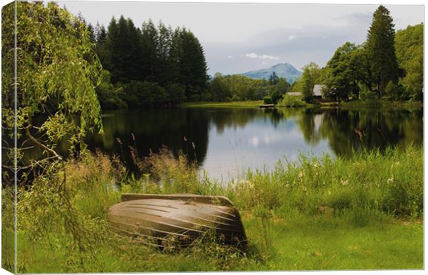 Loch Ard and Summer in the Trossachs Canvas Print by Jacqi Elmslie