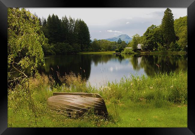 Loch Ard and Summer in the Trossachs Framed Print by Jacqi Elmslie