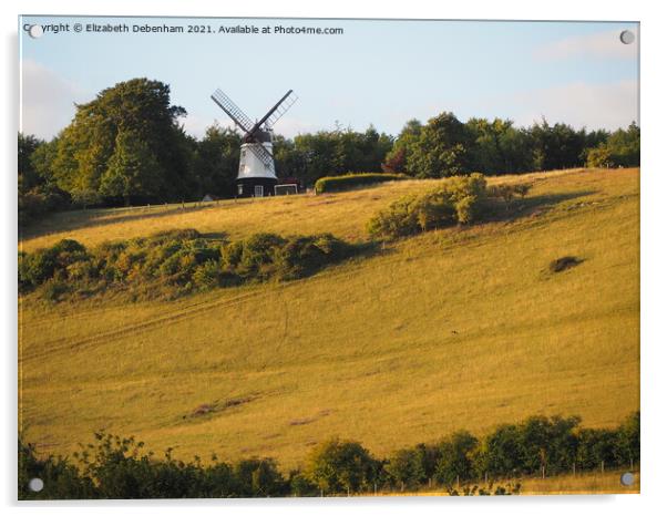 Turville Windmill Acrylic by Elizabeth Debenham