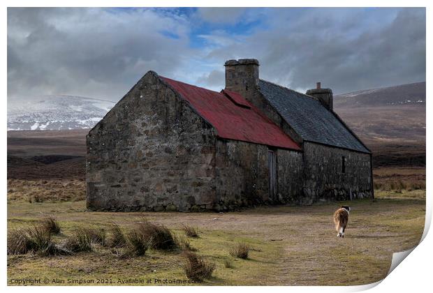Old croft and Border Collie Print by Alan Simpson