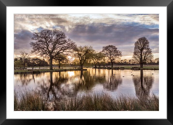 Bushy Park at sunrise in March Framed Mounted Print by Kevin White