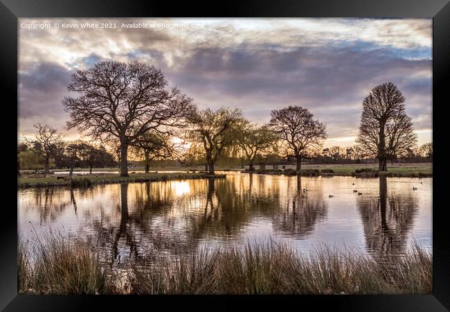 Bushy Park at sunrise in March Framed Print by Kevin White