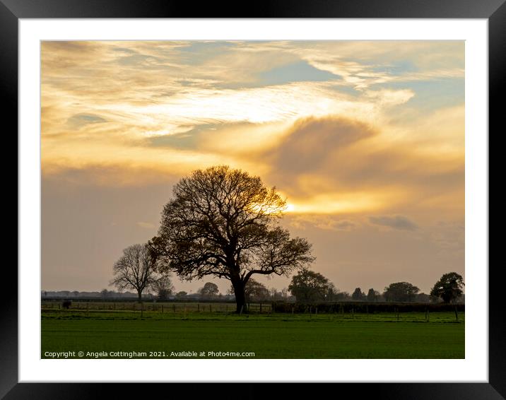 Oak Tree and Dramatic Sky Framed Mounted Print by Angela Cottingham