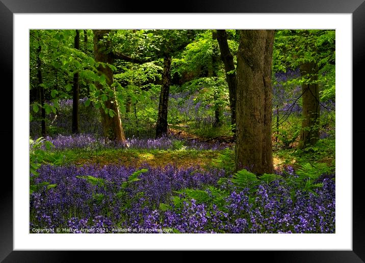 Durham Bluebell Wood Framed Mounted Print by Martyn Arnold