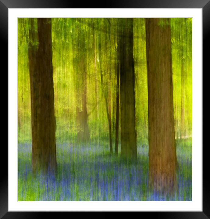 Bluebell Wood Framed Mounted Print by Francesca Shearcroft