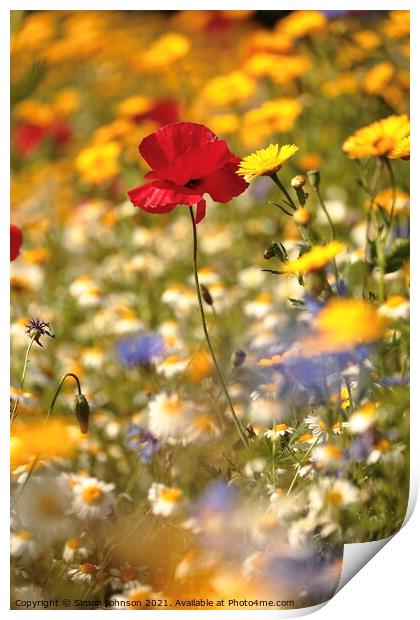 Poppy and meadow flowers  Print by Simon Johnson