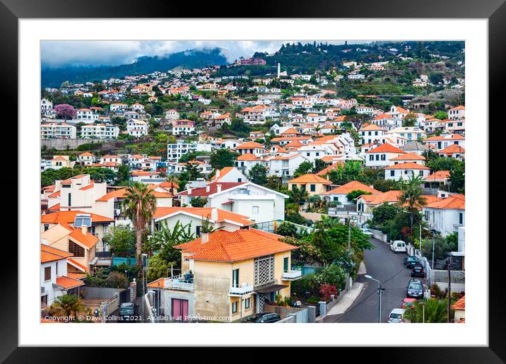 Buildings crowded together on the hills of Funchal in Madeira Framed Mounted Print by Dave Collins